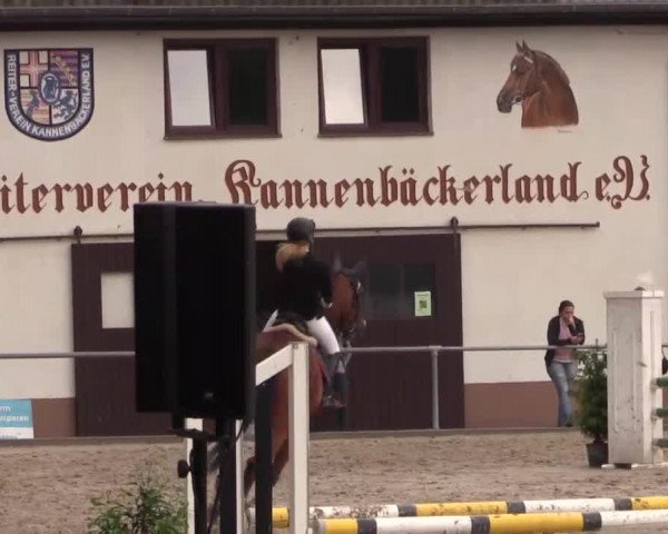 Höhr-Grenzhausen 2015