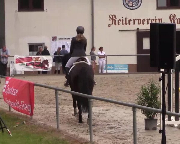 Höhr-Grenzhausen 2015