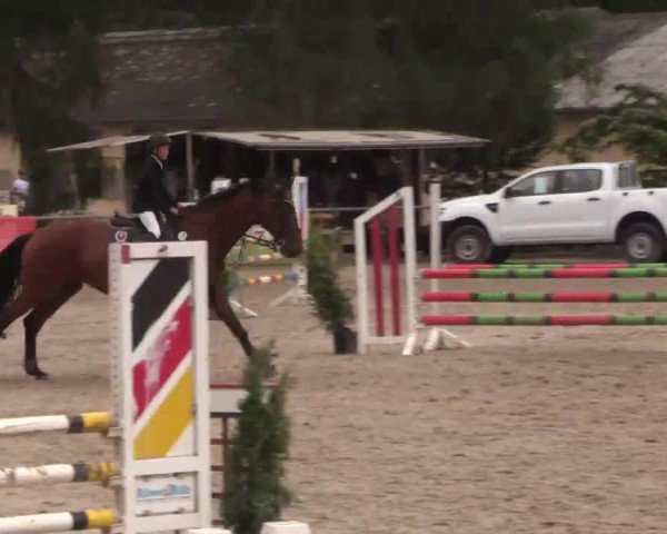 Höhr-Grenzhausen 2015
