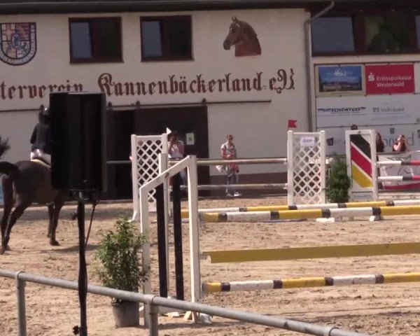 Höhr-Grenzhausen 2015