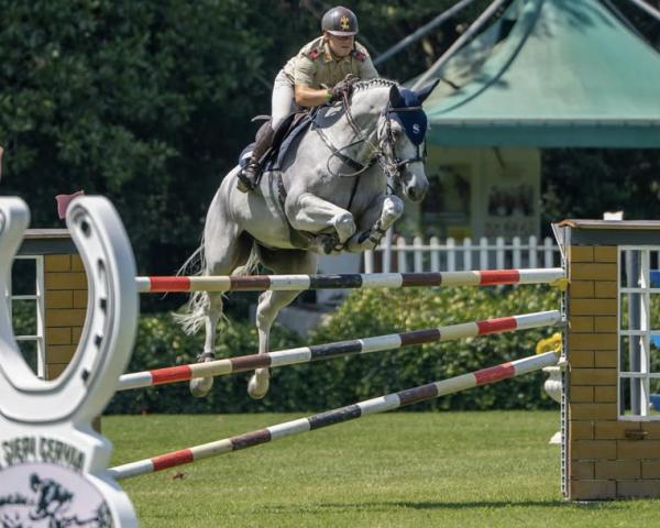 Spranghest Tokio Vg Z (Zangersheide, 2014, fra Thunder van de Zuuthoeve)