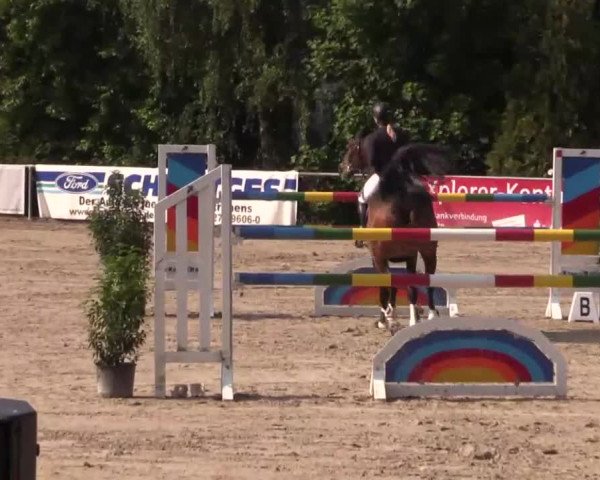 Höhr-Grenzhausen 2015