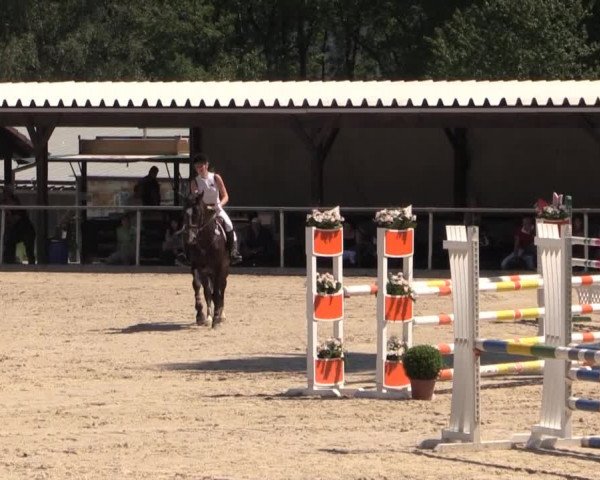 43. Drei-Länder-Challenge 2015
