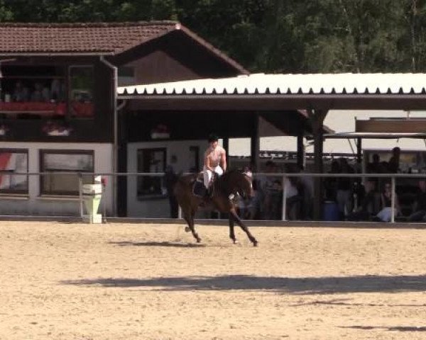 43. Drei-Länder-Challenge 2015