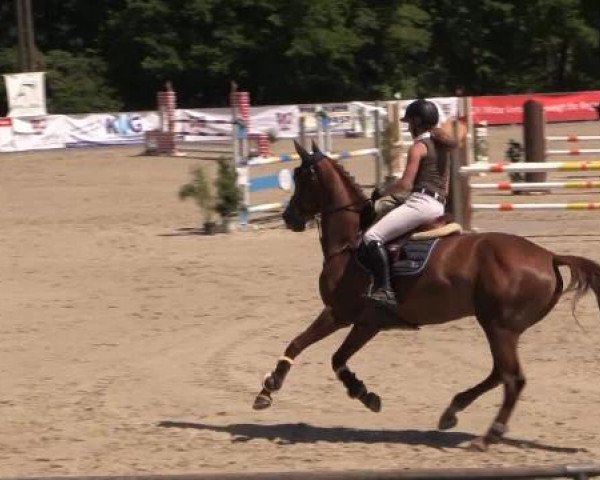 43. Drei-Länder-Challenge 2015