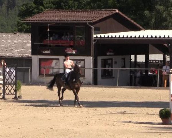 43. Drei-Länder-Challenge 2015