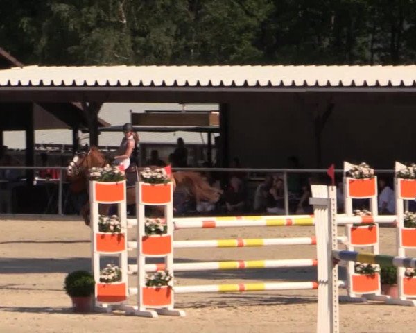 43. Drei-Länder-Challenge 2015