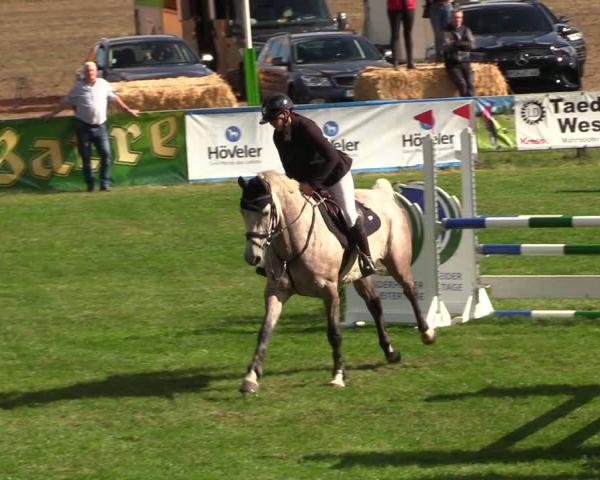Equestrian Tournament Crivitz 2026