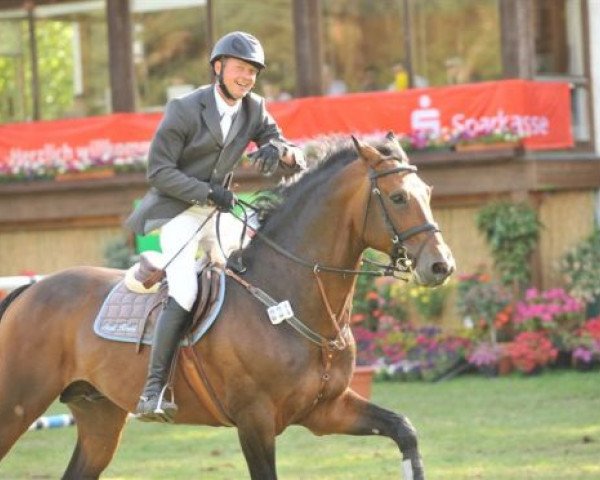 stallion Asklepios (Holsteiner, 2002, from Askari)