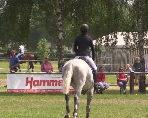 Großes Sommerturnier in Hille 2015