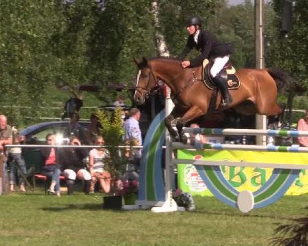 Großes Sommerturnier in Hille 2015