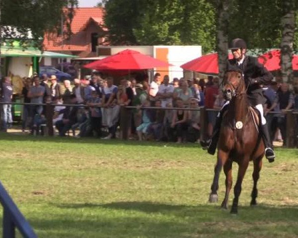 Großes Sommerturnier in Hille 2015