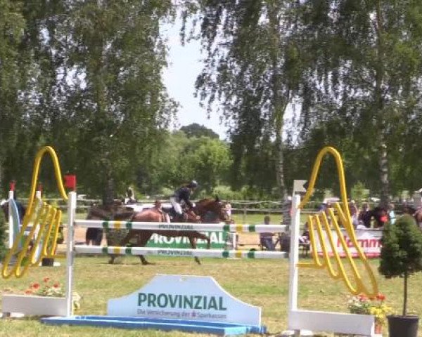 Großes Sommerturnier in Hille 2015