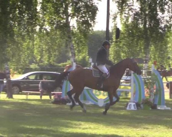 Großes Sommerturnier in Hille 2015