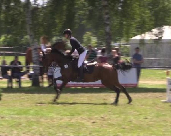 Großes Sommerturnier in Hille 2015