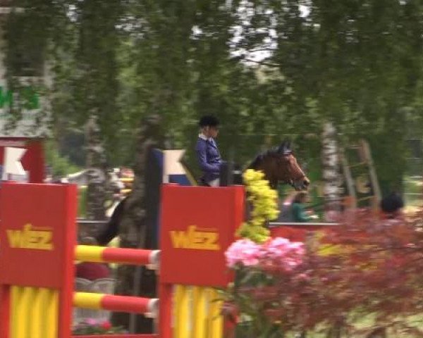 Großes Sommerturnier in Hille 2015