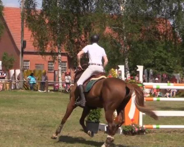 Großes Sommerturnier in Hille 2015