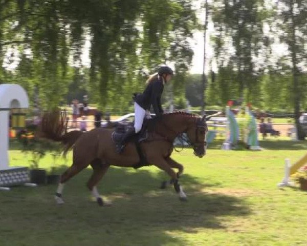 Großes Sommerturnier in Hille 2015
