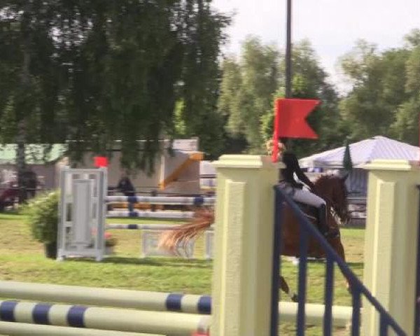 Großes Sommerturnier in Hille 2015