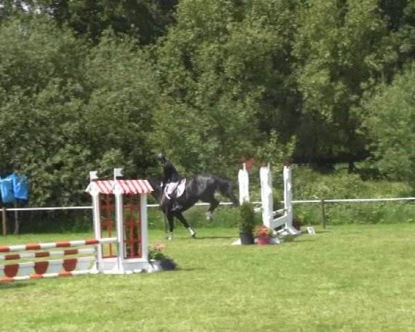 Großes Sommerturnier in Hille 2015