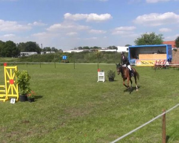 Großes Sommerturnier in Hille 2015