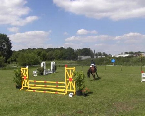 Großes Sommerturnier in Hille 2015
