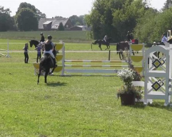 Großes Sommerturnier in Hille 2015