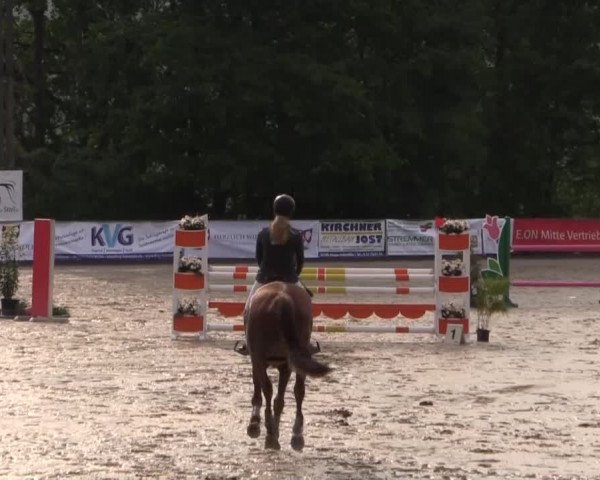 43. Drei-Länder-Challenge 2015