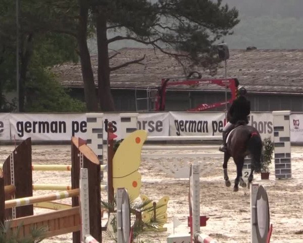 43. Drei-Länder-Challenge 2015