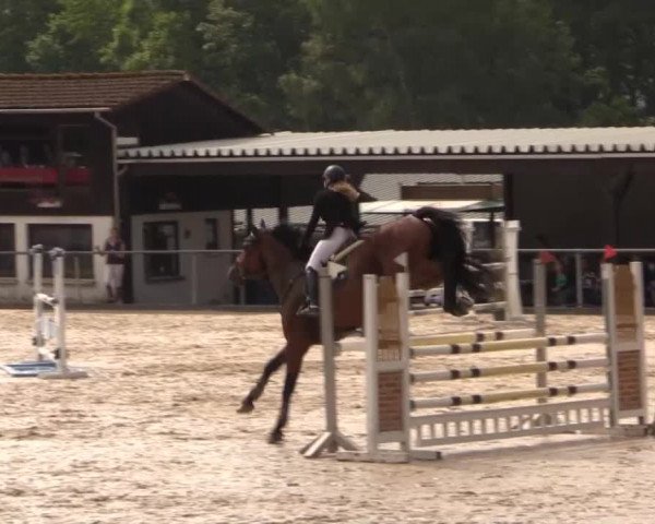 43. Drei-Länder-Challenge 2015