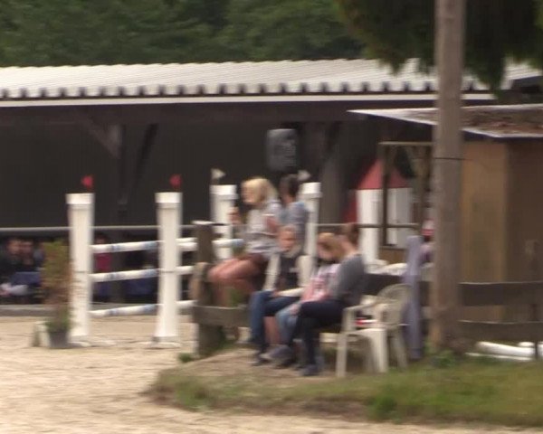 43. Drei-Länder-Challenge 2015