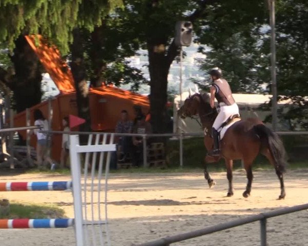 43. Drei-Länder-Challenge 2015
