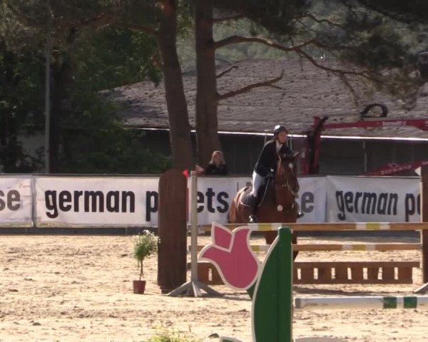 43. Drei-Länder-Challenge 2015