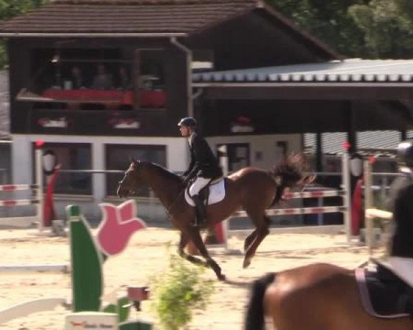 43. Drei-Länder-Challenge 2015