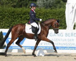 Pferd Steverheides Nizza (Deutsches Reitpony, 2016, von Fs Numero Uno)