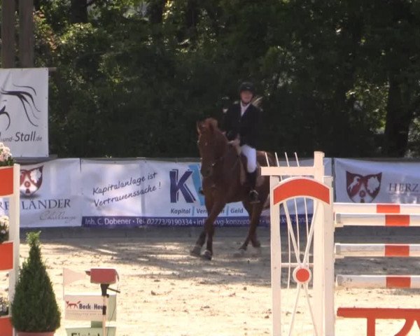 43. Drei-Länder-Challenge 2015