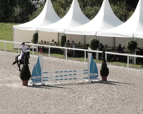 Pferdesporttage Bülach 2021