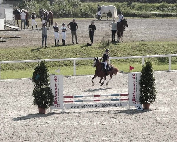 Pferdesporttage Bülach 2021
