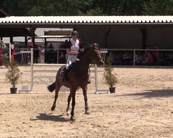 43. Drei-Länder-Challenge 2015