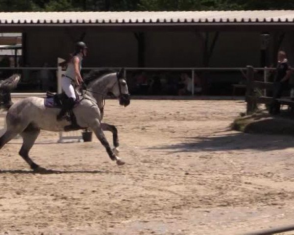 43. Drei-Länder-Challenge 2015