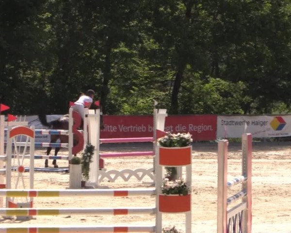 43. Drei-Länder-Challenge 2015