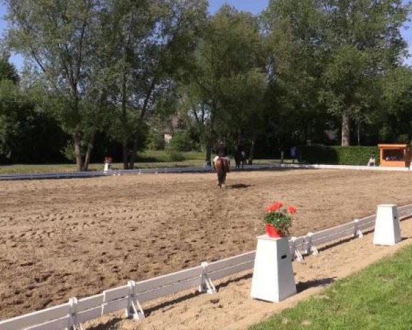 Großes Sommerturnier in Hille 2015