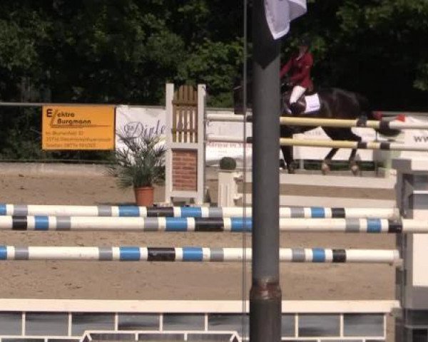 43. Drei-Länder-Challenge 2015