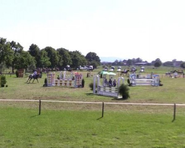 Großes Sommerturnier in Hille 2015