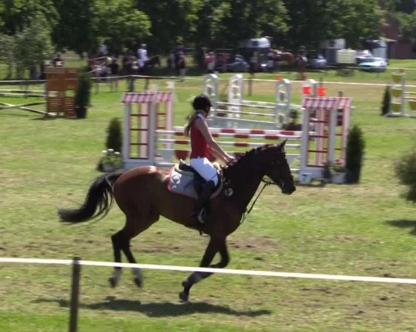 Großes Sommerturnier in Hille 2015