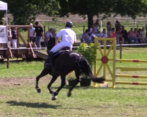 Großes Sommerturnier in Hille 2015