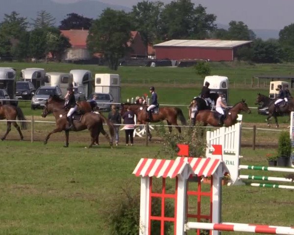 Großes Sommerturnier in Hille 2015