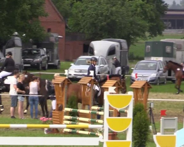 Großes Sommerturnier in Hille 2015