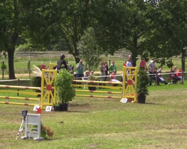 Großes Sommerturnier in Hille 2015