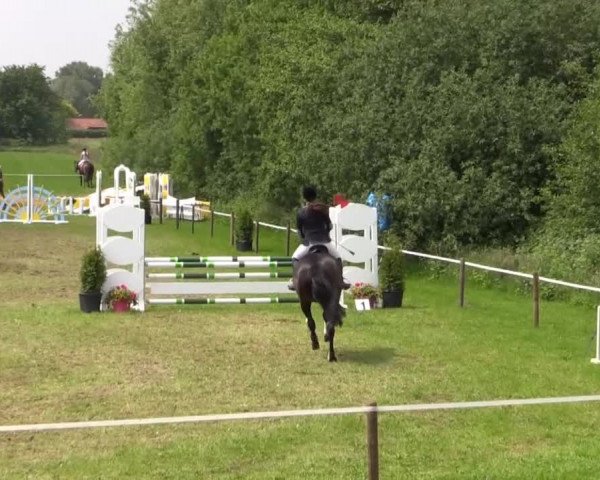 Großes Sommerturnier in Hille 2015